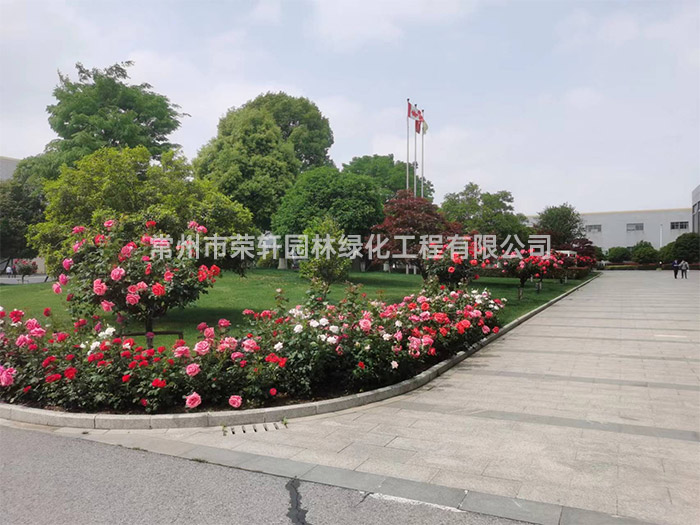 常州新譽集團養(yǎng)護